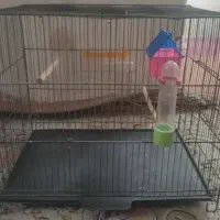 قفس پرنده