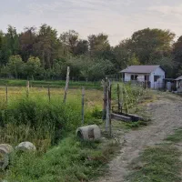 سرایدار برای نگهداری تقریب 10 راس گاو و ویلای