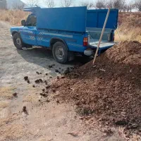 خرید پهن گوسفند