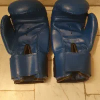 دستکش  بوکس مدل EVERLAST|تجهیزات ورزشی|تهران, شهرک شریعتی|دیوار