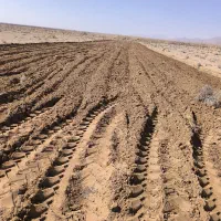 فروش باغ و ملک مسکونی