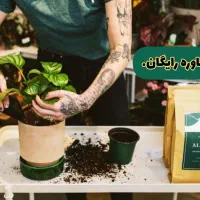 بازدید و مشاوره رایگان|خدمات باغبانی و درختکاری|دوگنبدان, |دیوار