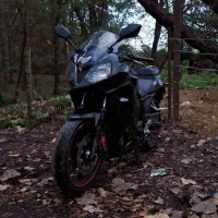 دایلیم250تیپ2|موتورسیکلت|رشت, رشتیان|دیوار