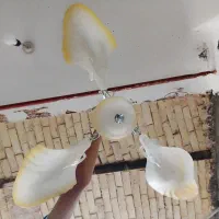 لوستر 3 پره