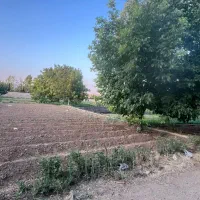 معاوضه یا فروش زمین ویلایی صدرا|فروش خانه و ویلا|شیراز, علوم پزشکی|دیوار