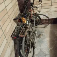 فروش دوچرخه کورسی