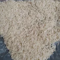 برنج صدری دم سیاه|خوردنی و آشامیدنی|رشت, پل تالشان|دیوار