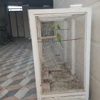قفس|لوازم جانبی حیوانات|بوشهر, |دیوار