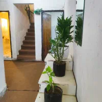 خوابگاه دخترانه تازه تاسیس پاییزان|اجارهٔ کوتاهمدت آپارتمان و سوئیت|شیراز, زند|دیوار