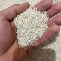 برنج چمپا میداوود