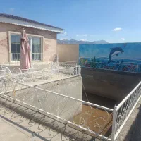 باغ حاشیه جاده پهنایی دونبش|فروش زمین و ملک کلنگی|قائن, |دیوار