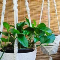 هدیه ی زیبا