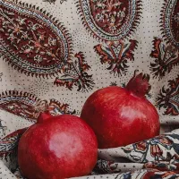 جشنواره و نمایشگاه یلدا|گردهمایی و همایش|قزوین, |دیوار