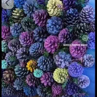 کاج  رنگی قابل سفارش در هر تعداد و رنگ|صنایع دستی و سایر لوازم تزئینی|ملکآباد, |دیوار