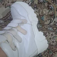 بوت زنانه|کیف، کفش، کمربند|صدرا-فارس, فاز ۲|دیوار