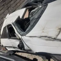 پرشیا چپی