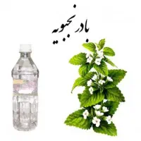 گروه درمانگران|گردهمایی و همایش|شیراز, بعثت|دیوار