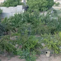 فروش باغ زمین مسکونی سپیدان