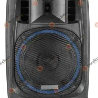 اکو پرتابل 12 اینچ باندیران *شارژی*فلاش خور