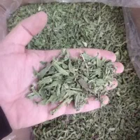 پخش ادویه و حبوبات