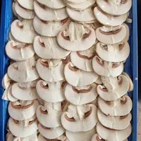 قارچ|خوردنی و آشامیدنی|تهران, شهرک چیتگر|دیوار