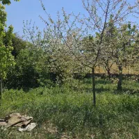 باغچه-500-متری