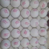 پخش تخم مرغ