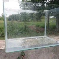 اکواریم شرکتی ضخیم