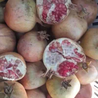 انار آبگیری|خوردنی و آشامیدنی|تفت, |دیوار