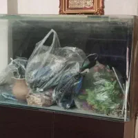 آکواریوم شیشه خم در حد نو