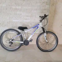 دوچرخه دنده ای و بخاری