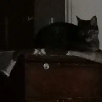 راهنمایی کنید