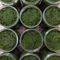 محصولات شمال