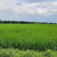 بیجار 3200متر