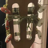 گیتار کلاسیک انجل لوپز|گیتار، بیس، امپلیفایر|تهران, ارامنه|دیوار