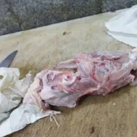 اسکلت مرغ تازه و گوشتی