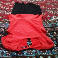 دوچرخه|دوچرخه، اسکیت، اسکوتر|لاران, |دیوار
