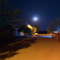 راننده مسلط به زبان چینی و انگلیسی