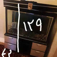 آکواریوم بزرگ