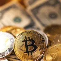 راهنمایی در سرمایه گذاری میکنم