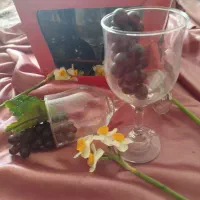 جام نو..۶عدد..شیک