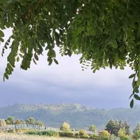 تدریس خصوصی و گروهی