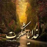 اجاره شهرک ولی عصر