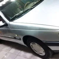 پژوشاسی پلم