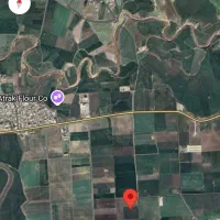 چهار هکتار زمین کشاورزی|فروش دفتر صنعتی، کشاورزی، تجاری|گنبد کاووس, |دیوار