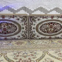 دو جفت پشتی چهار میلیون سالم