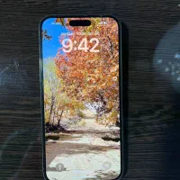 آیفون ۱۴ پرومکس|موبایل|شیراز, گویم|دیوار