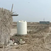 مزاییده مزرعه پرورش میگو بندر تیاب