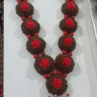 میخک و مهلو مجلسی|بدلیجات|یاسوج, |دیوار