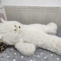 عروسک تمیز سالم|اسباب‌‌بازی|آبادان, |دیوار